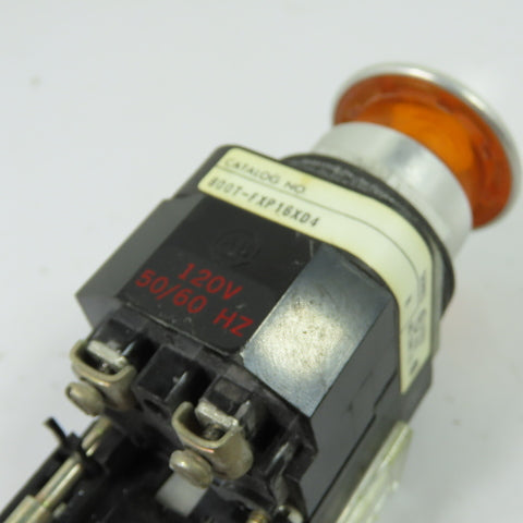 Allen-Bradley 800T-FXP16XD4 Illuminated Push Button Operator 120V Amber