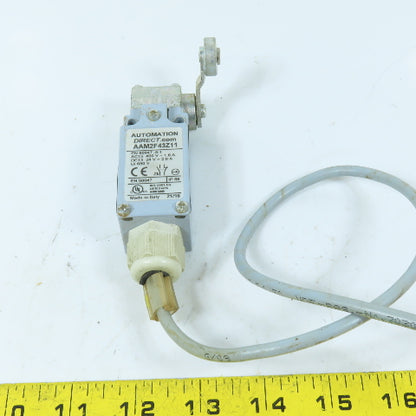 AutomationDirect AAM2F43Z11 IP66 Roller Lever Limit Switch 400VAC/24VDC