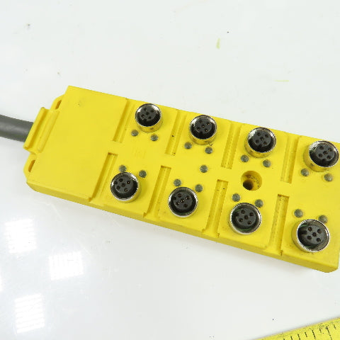 Lumberg Automation ASBV 8/LED 5-242-RS190M 8-Port M12 Female Distribution Box M23 19-Pin
