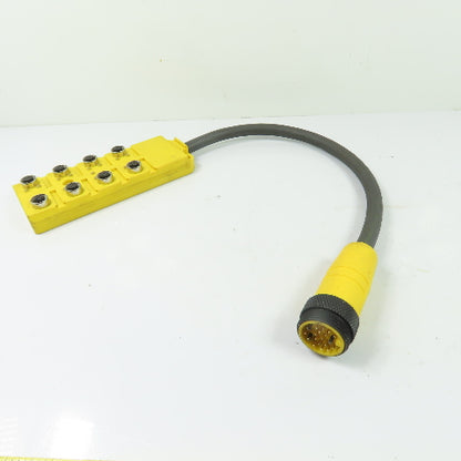 Lumberg Automation ASBV 8/LED 5-242-RS190M 8-Port M12 Female Distribution Box M23 19-Pin
