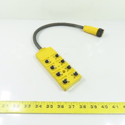 Lumberg Automation ASBV 8/LED 5-242-RS190M 8-Port M12 Female Distribution Box M23 19-Pin