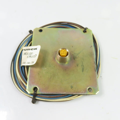 Turck U9517-11 FK 4.4-2/18.25 M12 Eurofast Female Receptacle Cordset 4-Pin 250V