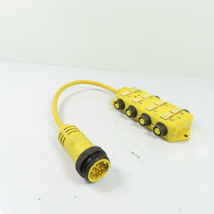 Brad Harrison 803P802 4-Port M12 Junction Splitter Box