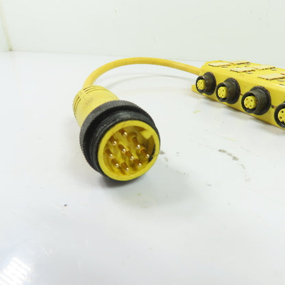 Brad Harrison 803P802 4-Port M12 Junction Splitter Box