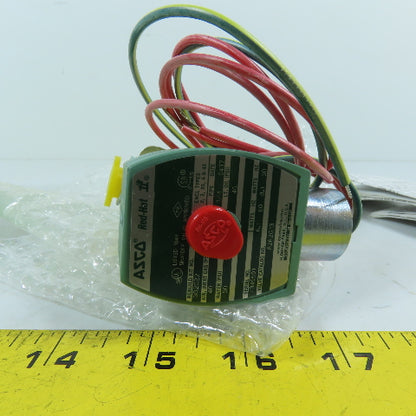 ASCO 8262G13 1/4" NPT 2-Way Normally Closed Solenoid Valve 120/60Hz 110/50Hz