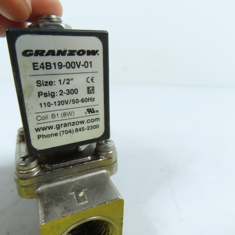 Granzow E4B19-00V-01 1/2" 2-Way Pilot Operated Solenoid Valve 110-120V