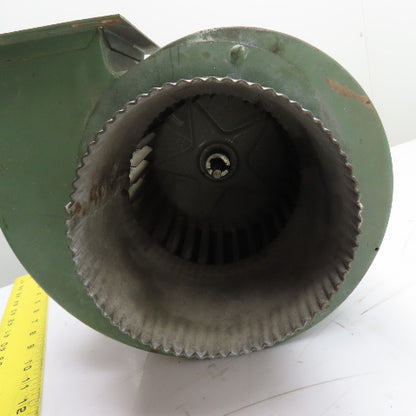 Dayton 3M556BG 1/40HP Direct Drive Squirrel Cage Blower Fan 115V 1.1A 1550RPM