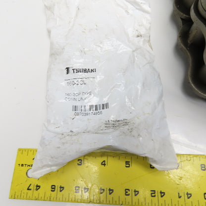 Tsubaki RS160-2 No. 160-2 Double Row Riveted Roller Chain 10' W/ Connecting Link