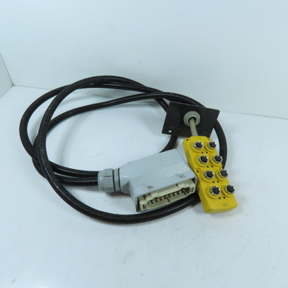 Autonics PT8-3DP 8-Port M12 Sensor Junction Box 3-Wire PNP 12-24VDC 8'