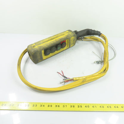 Schneider Electric 4-Button Up/Down/Start/Stop Hoist Pendant Control Station