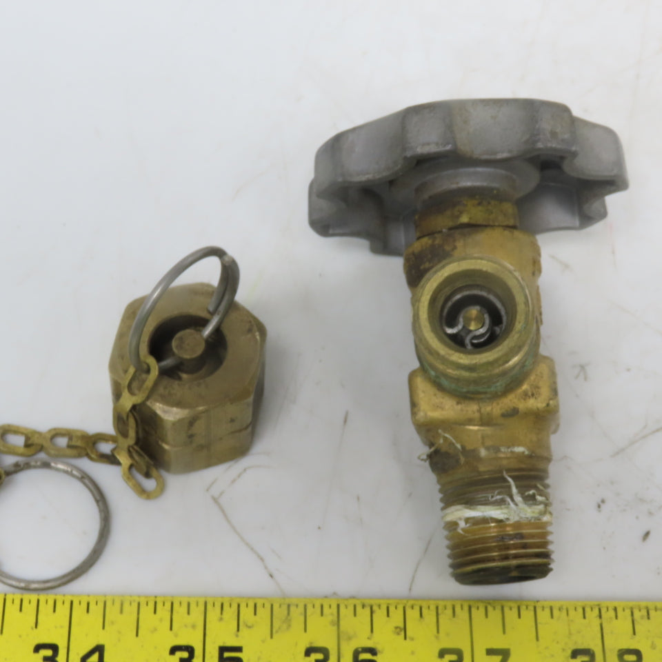 Rego 7151V Line Station Shut off Valve W/Cap & Chain Fuel
