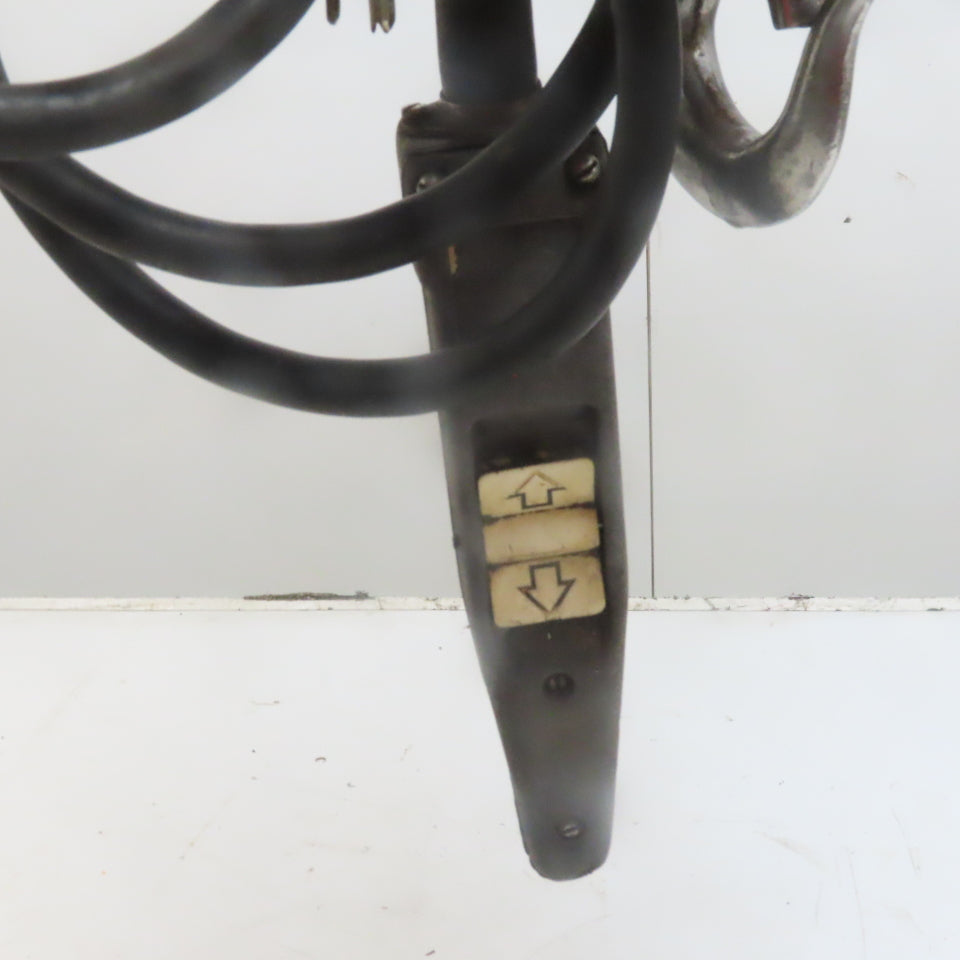 Lodestar Model A 1/8 Ton Electric Chain Hoist 10' Lift 32FPM 120V 1Ph