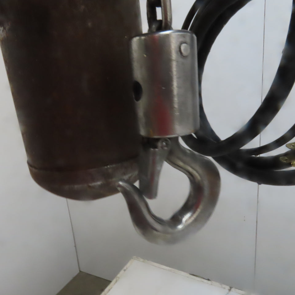 Lodestar Model A 1/8 Ton Electric Chain Hoist 10' Lift 32FPM 120V 1Ph
