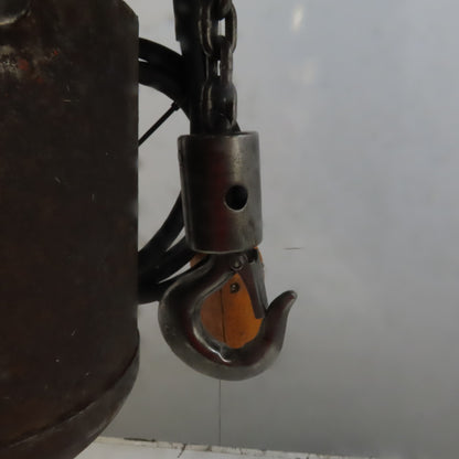 Lodestar Model A 1/8 Ton Electric Chain Hoist 10' Lift 32FPM 120V 1Ph